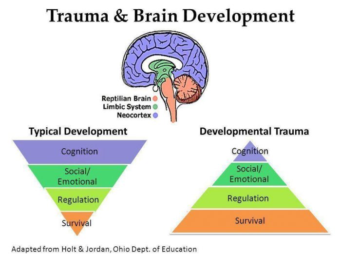 Trauma – Counselor1Stop